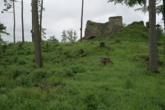 Ruine Schenkenburg