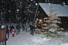 Waldweihnacht OG Sulz